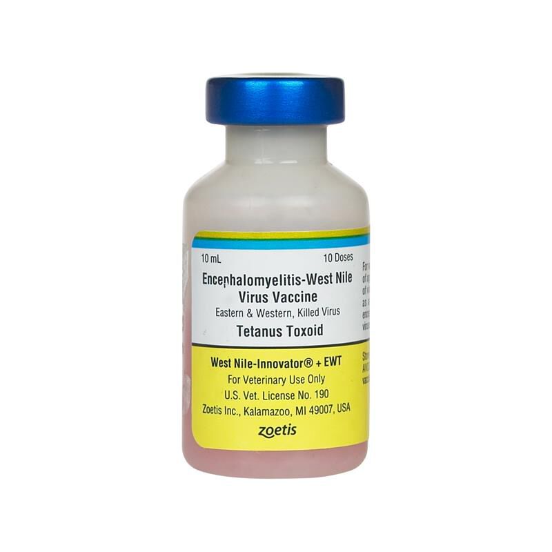 West Nile Innovator EWT 10 ds Vial