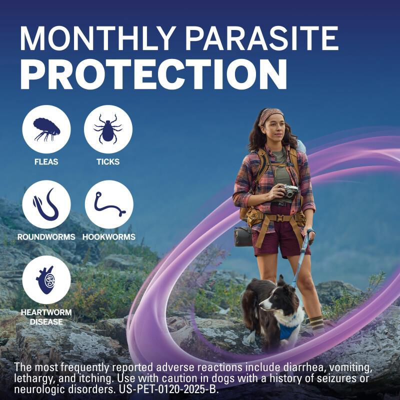 NexGard PLUS Chewables for Dogs 33.1-66 lbs Purple 3 Month Supply