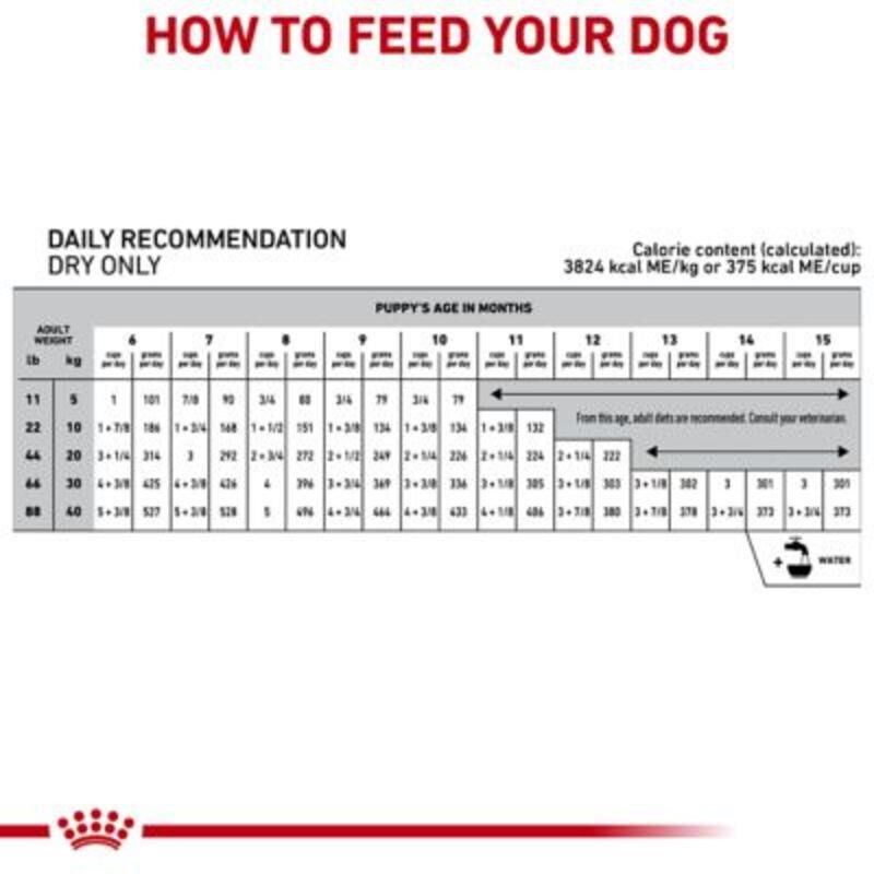 Royal Canin Veterinary Diet Hydrolyzed Protein Puppy Dry Food for Food Sensitivities, 8.8 lb bag
