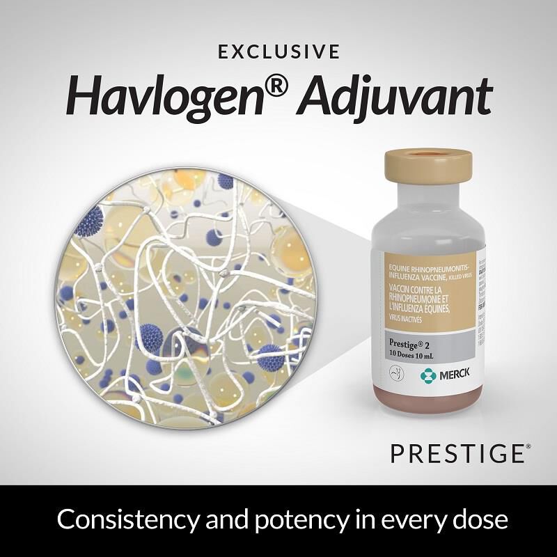 Prestige 2, 10 ds Vial