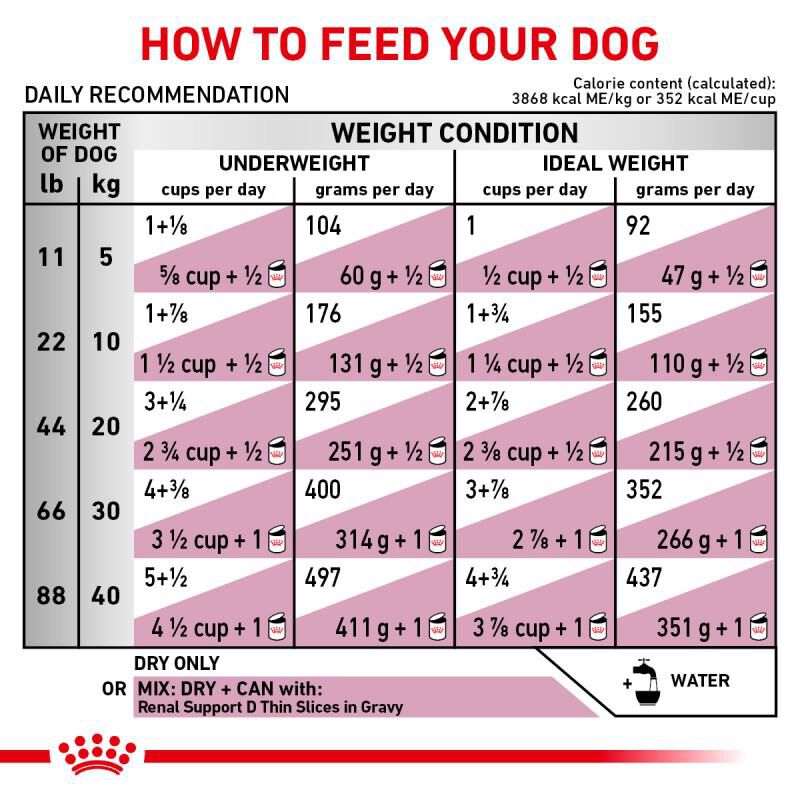 Royal Canin Veterinary Diet Adult Renal Support A Dry Dog Food