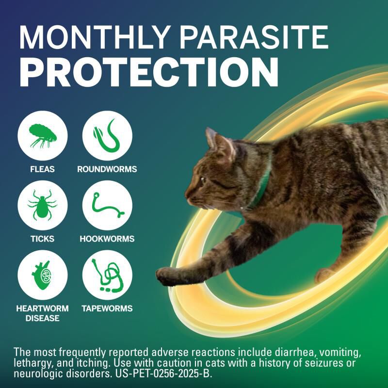 NexGard COMBO Flea, Tick & Heartworm Protection for Cats 5.6 lbs - 16.5 lbs Yellow, 3 Month Supply