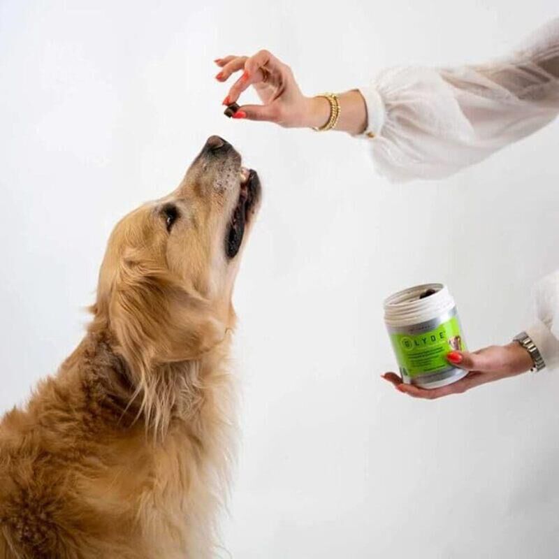 Glyde Mobility Chews for Dogs, 120 Ct.