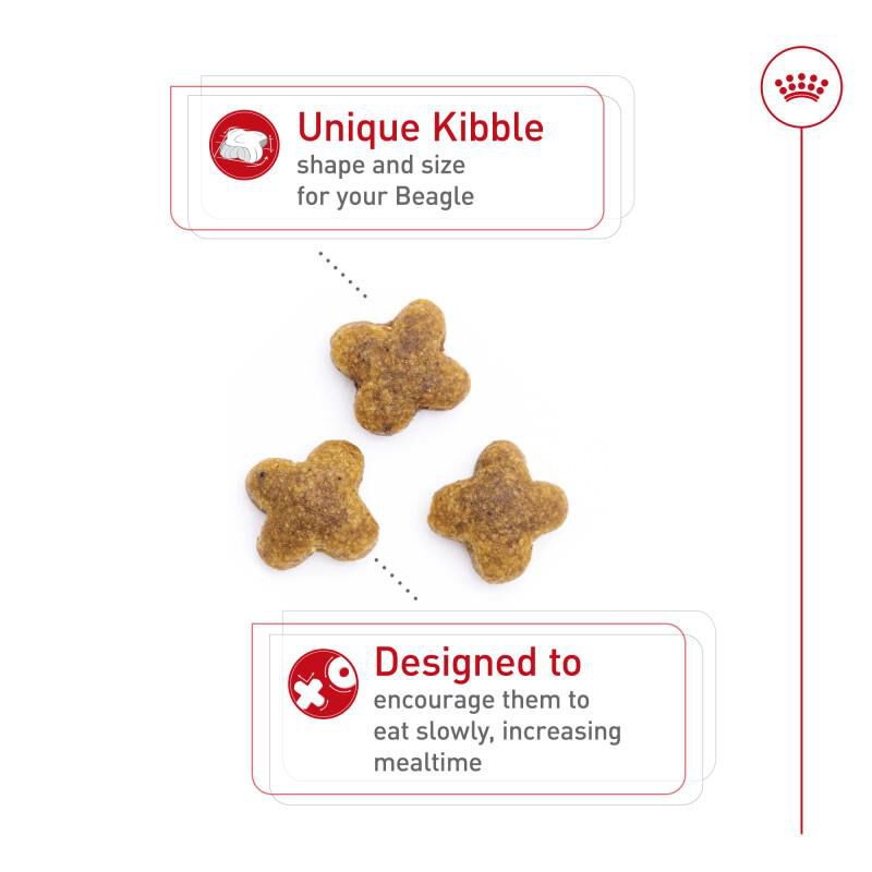 Royal Canin Breed Health Nutrition Beagle Adult Dry Dog Food