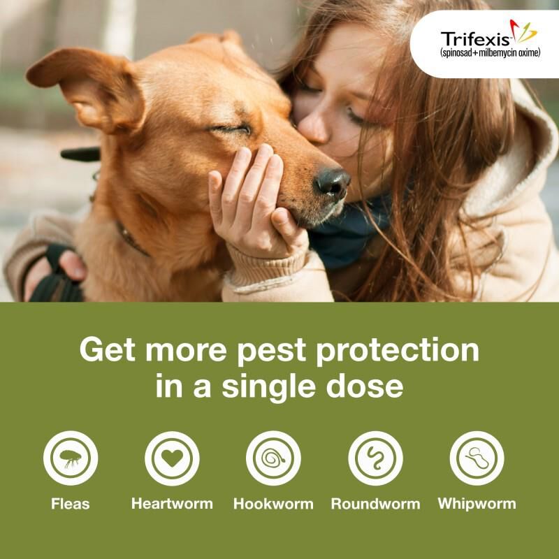 Trifexis Chewable Tablets for Dogs 20.1-40 lbs Green, 1 Month Supply