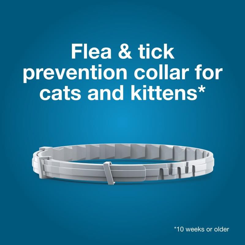Seresto for Cats with Fleas and Ticks