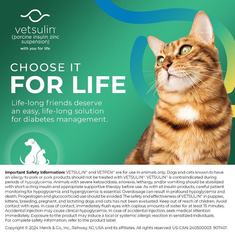 Buy Vetsulin Insulin For Dogs and Cats Online Allivet