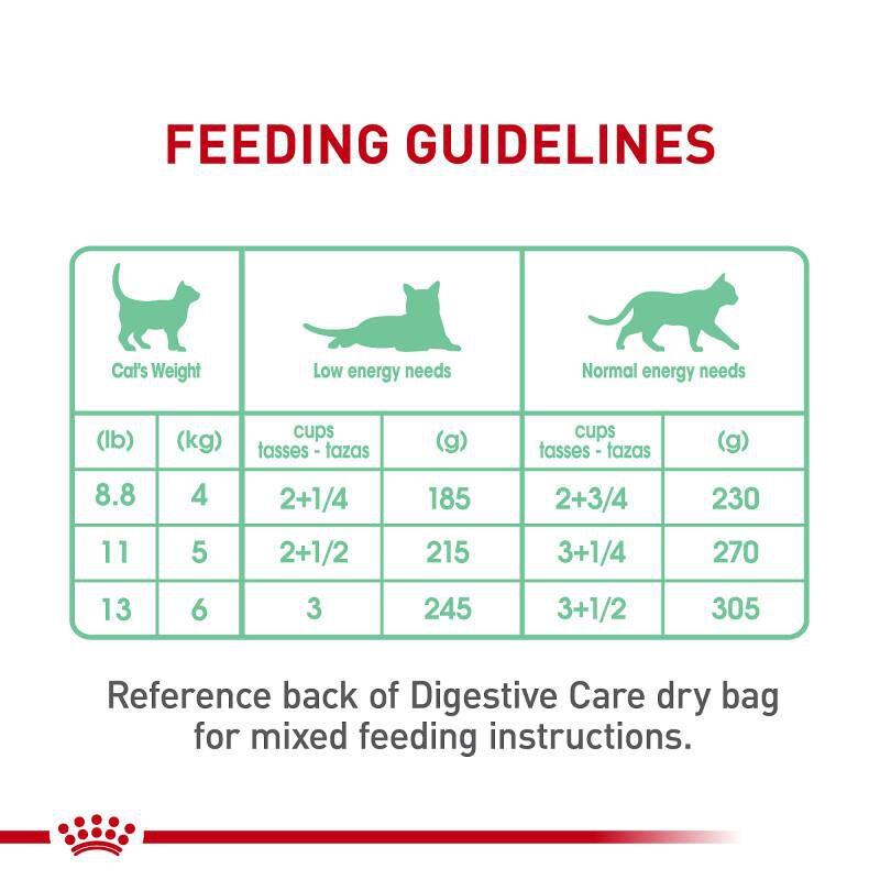 Royal Canin Feline Care Nutrition Adult Digestive Care Thin Slices in Gravy Canned Cat Food, 24 x 3 oz cans