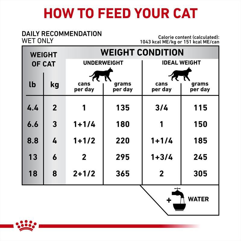 Royal Canin Veterinary Diet Renal Support Starter Kit Dry and Wet Cat Food, 17.1 oz