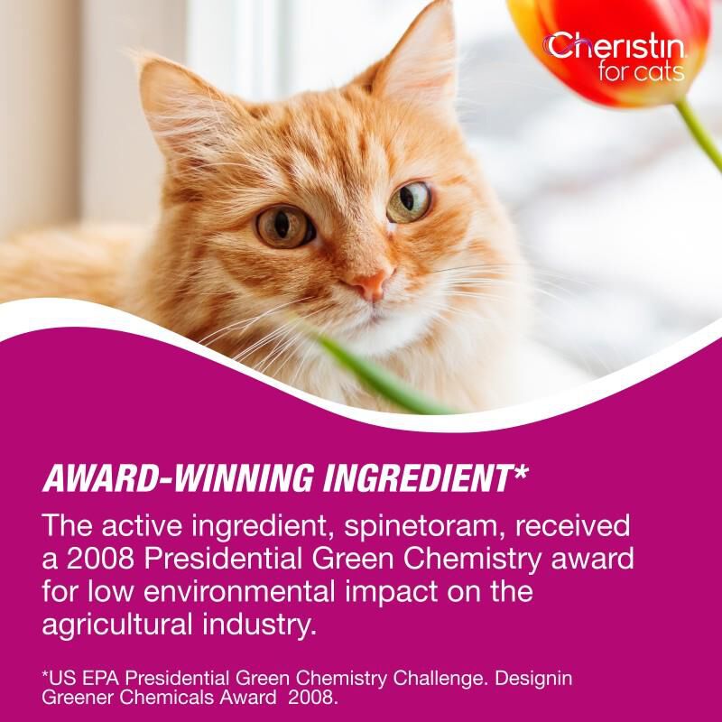 Buy Cheristin for Cats Topical Flea Treatment Allivet