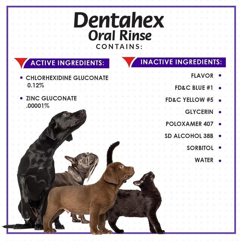 Vetoquinol Dentahex Oral Rinse .012 8 Oz for Dogs & Cats Allivet