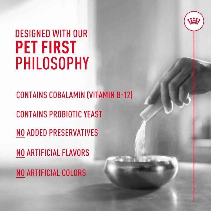Royal Canin Probiotics Digestive & Immune Health Powder Supplement for Cats, 30 x 1 gm packets