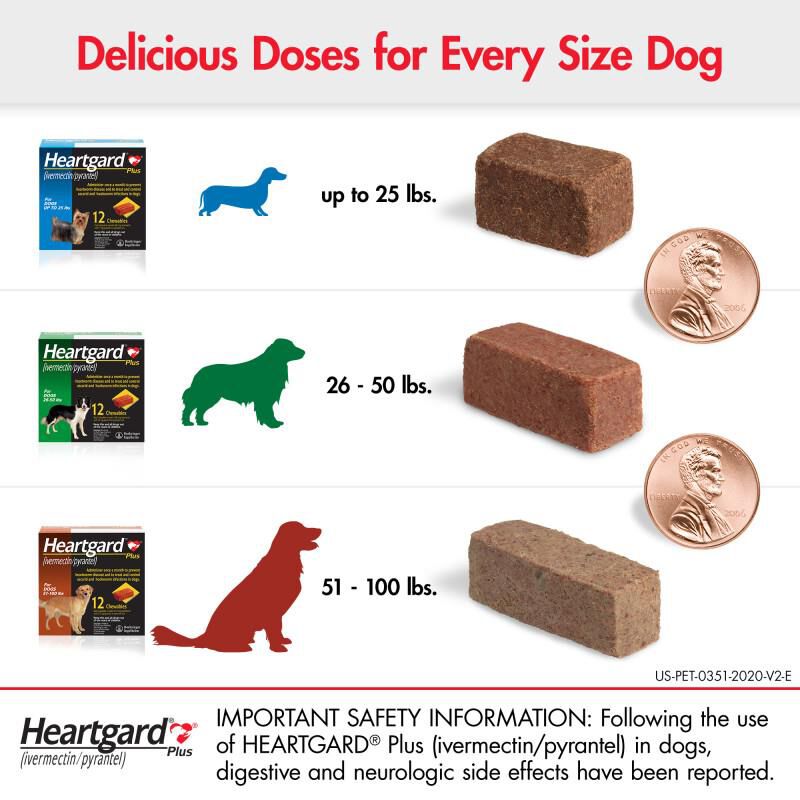 Heartgard Plus Chewables for Dogs Protects from Heartworm