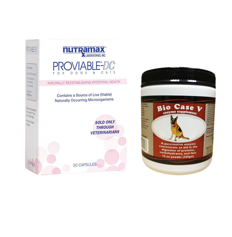 Dog Digestive Supplements