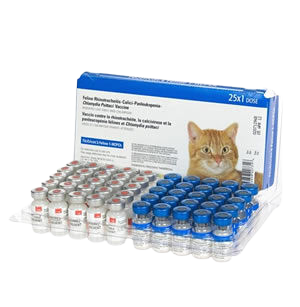 Cat Vaccines