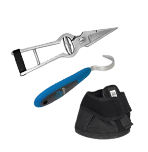 Horse Hoof Equipments & Boots