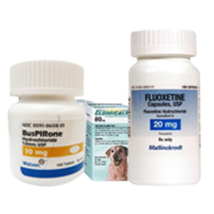 Allivet pet meds online