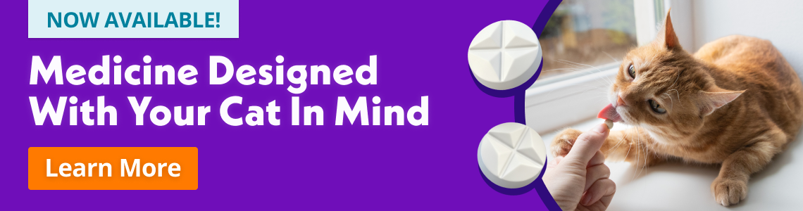 Cat Compounded Medications