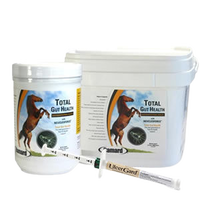 Horse Digestive Supplements