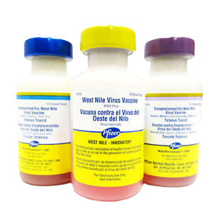 Horse West Nile Vaccines