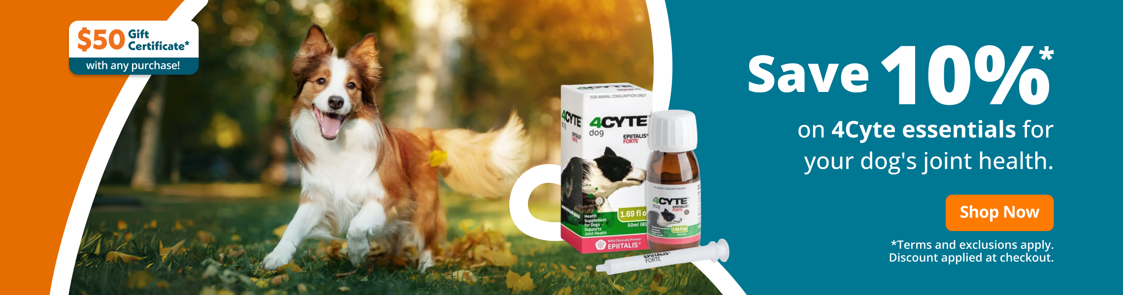 Dog Joint Supplements