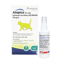 Cat Allergy & Skin Medication