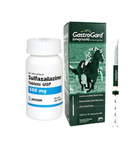 Horse Gastric Ulcer Colitis