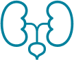 Kidney Health