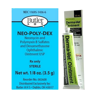 Cat Ear Antibacterial & Antifungal