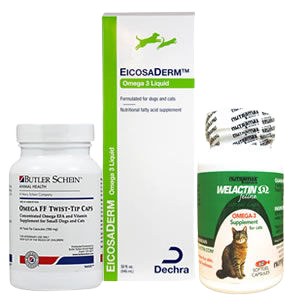 Cat Skin & Allergy