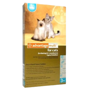 Cat Heartworm