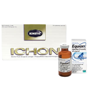 Horse Arthritis Medications
