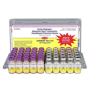 parvo vaccine for puppies distemper kennel cough rabies corona and parvo vaccinations parvo vaccine for puppies distemper kennel cough rabies corona and parvo vaccinations