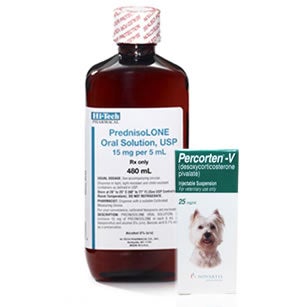 Dog Prescriptions For Addison S Disease Dog Prescriptions For Addison S Disease