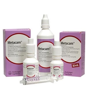 Dog Arthritis Meds