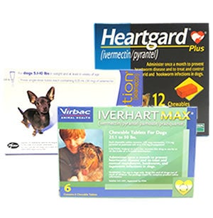 Dog Heartworm Treatment