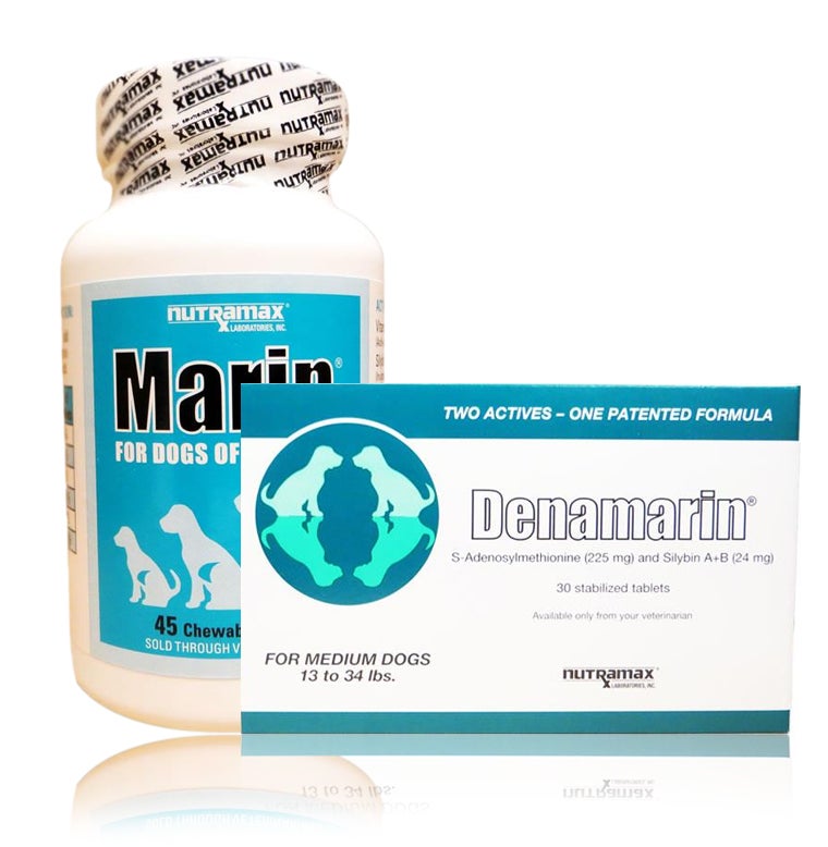 Dog Liver Supplements