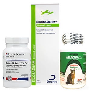 Allergy Meds for Cats