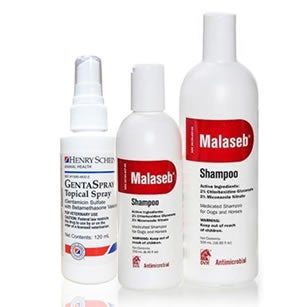 Cat Medicated Shampoo