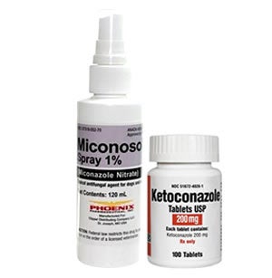 Cat Fungal Medication