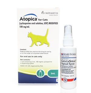 antibiotics for cats