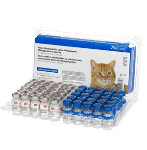 feline distemper shots