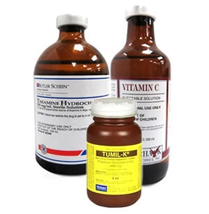 Electrolytes for Dogs