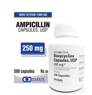 Horse Antibiotics