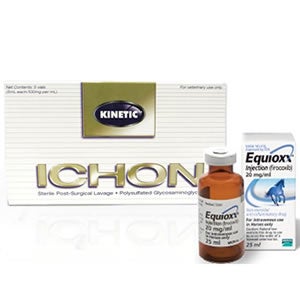 Horse Arthritis Meds