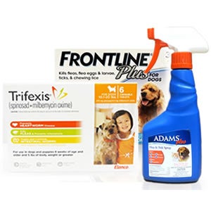 Flea Treatment for Dogs