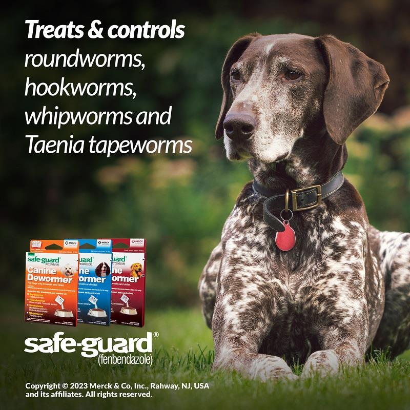 8in1 safe guard canine dewormer