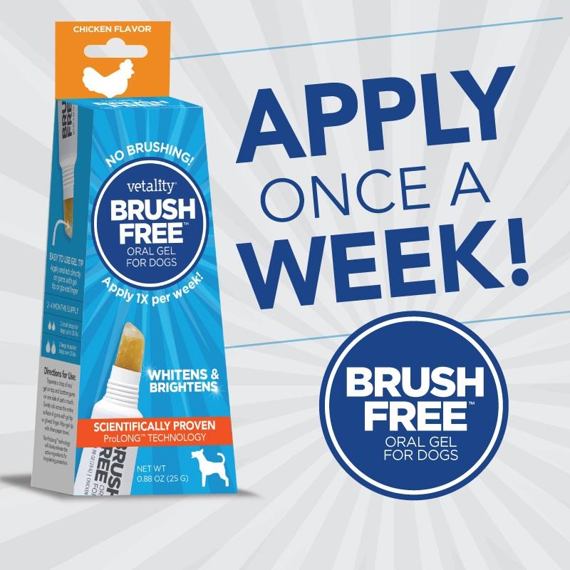 Vetality Brush Free Oral Gel for Dogs, 25 G Allivet