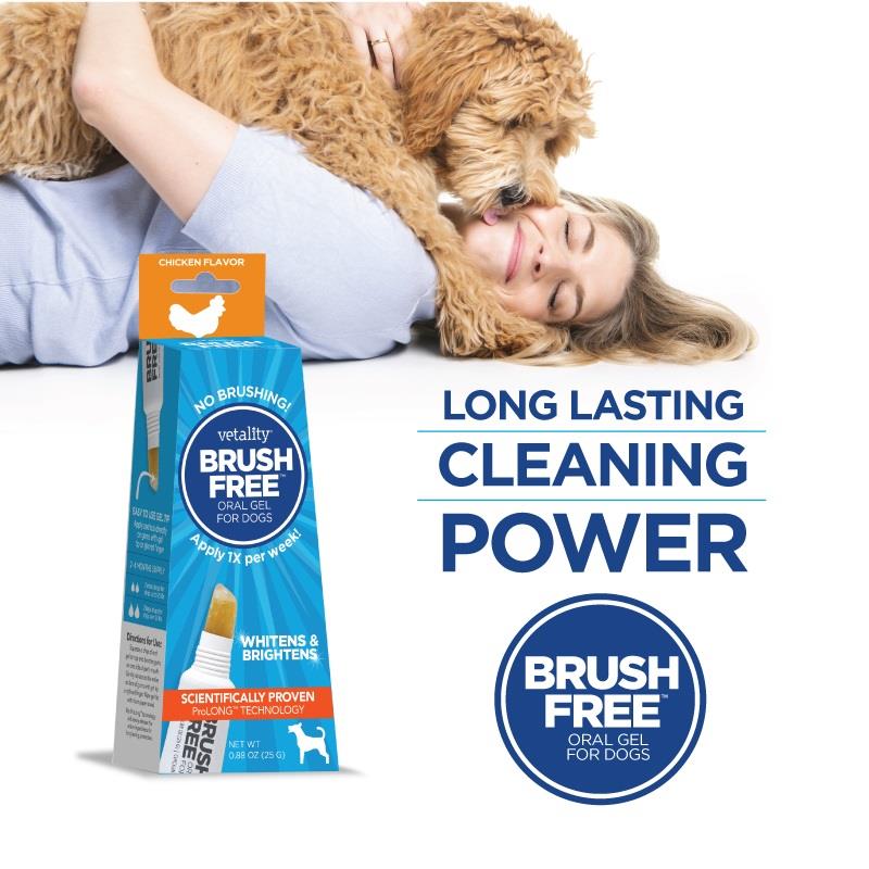Vetality Brush Free Oral Gel for Dogs, 25 G Allivet