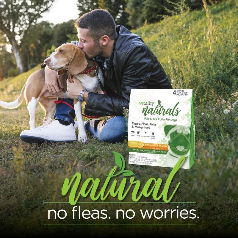 Vetality Naturals Flea & Tick Collar for Dogs Allivet
